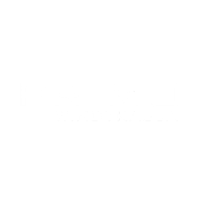 Primo Windykacja